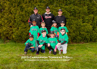 T-Ball Terriers