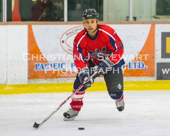 2014 Battle of the Badges Charity Hockey Game