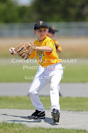 2012 Tadpole Regional Baseball Championships