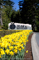 Bear Mountain Resort and Golf Course
