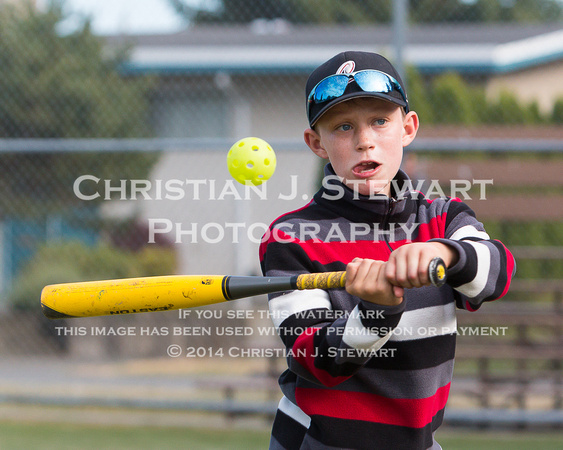 2014 Greater Victoria Baseball Association