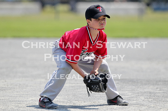 2012 Tadpole Regional Baseball Championships