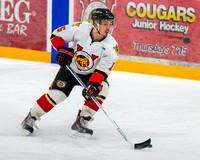 Peninsula Panthers vs Victoria Cougars, March 20, 2014