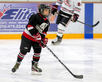 2014-2015 Saanich Braves Junior B Hockey Club