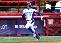 2017 WBSC U18 World Cup