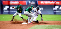 2017 WBSC U18 World Cup