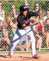 2014 Victoria Eagles Baseball Club
