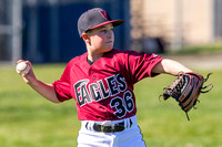 2019 Victoria Eagles Baseball Club