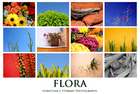 Flora