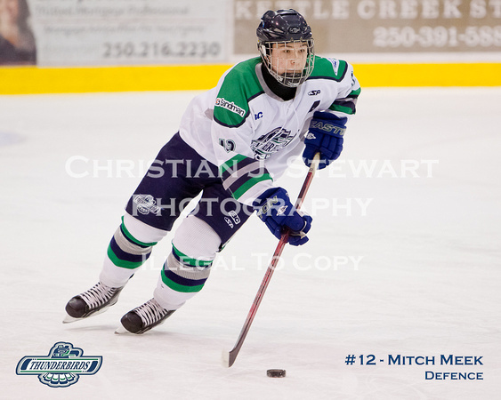 2011-2012 South Island Thunderbirds Major Midget Hockey Club