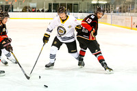 2014-2015 Victoria Grizzlies Hockey Club