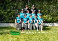 2015 National Little League