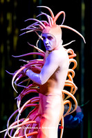 Cirque Du Soleil - Varekai