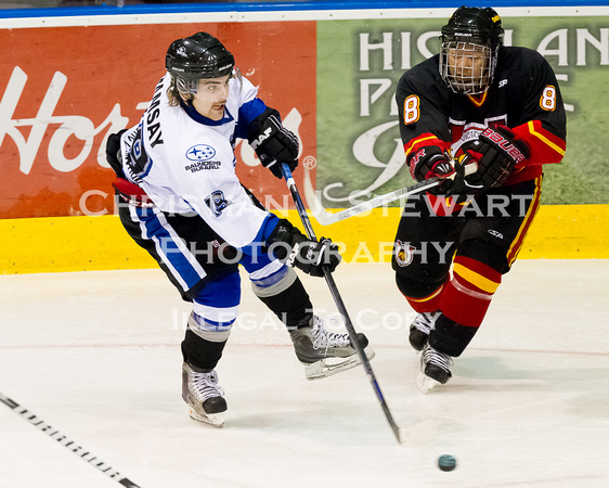 2012-2013 Vancouver Island Junior Hockey League