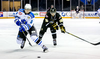 2014-2015 Victoria Grizzlies Hockey Club