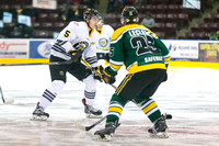 2014-2015 Victoria Grizzlies Hockey Club