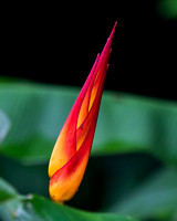 Costa Rica November 2018