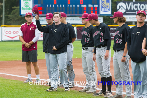 2017 Victoria HarbourCats Baseball Club