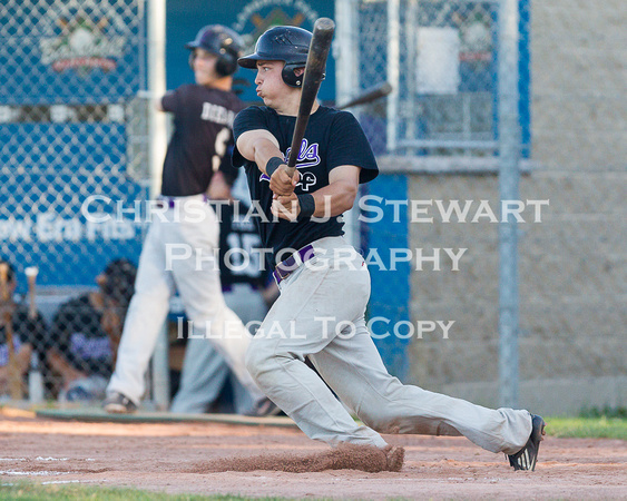 2013 Victoria Eagles Baseball Club