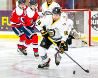 Victoria Grizzlies vs Cowichan Valley Capitals, Jan. 13, 2015