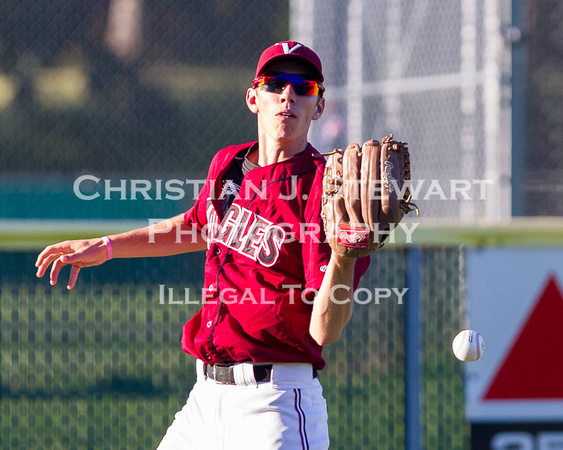 2013 Victoria Eagles Baseball Club