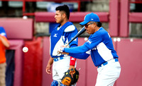 2017 WBSC U18 World Cup