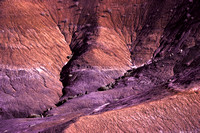 Painted Desert