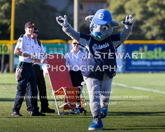 2014 Victoria HarbourCats Baseball Club