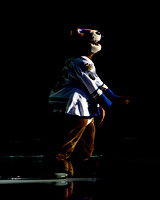 2010-2011 Victoria Salmon Kings