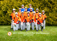 2011 Gordon Head Baseball Association
