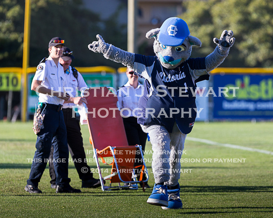 2014 Victoria HarbourCats Baseball Club