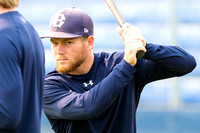2017 Victoria HarbourCats Baseball Club