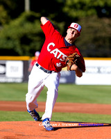 2016 Victoria HarbourCats Baseball Club