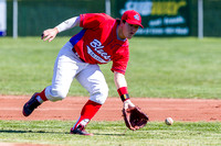 2014 Victoria Selects Baseball Club