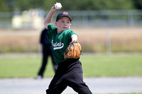 2012 Tadpole Regional Baseball Championships