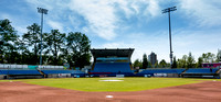 2017 Victoria HarbourCats Baseball Club
