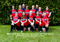 Bantam B Softball Red Hot