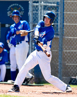 2013 Victoria Eagles Baseball Club