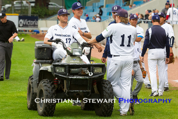 2017 Victoria HarbourCats Baseball Club