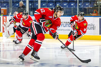 2013-2014 Victoria Royals Hockey Club