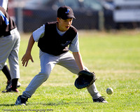 2010 Greater Victoria Baseball Association Championships