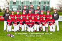 Junior Premier Eagles