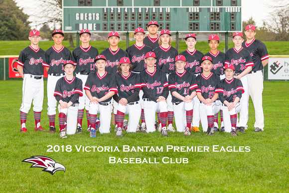 2018_Bantam_Premier_Eagles