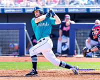 2016 Cactus League Spring Training