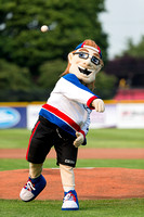 2015 Victoria HarbourCats Baseball Club