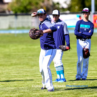2019 BC Junior Premier Baseball League