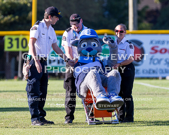 2014 Victoria HarbourCats Baseball Club