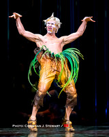 Cirque Du Soleil - Varekai
