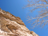 Cliff Face, Montezuma National Monument