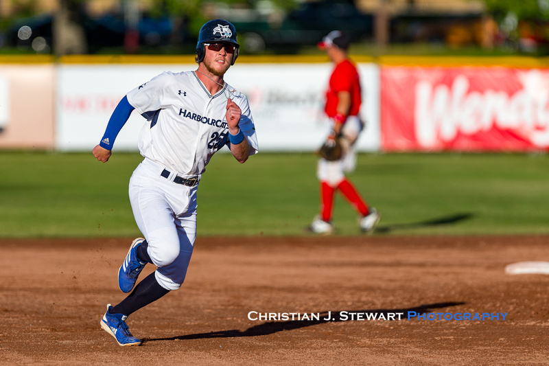 Victoria HarbourCats (@harbourcats) • Instagram photos and videos